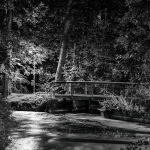 Brücke im Bürgerpark / Canon EF-S 18-135mm f/3.5-5.6 IS USM / © Jörn Dohrendorf 2018