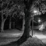 Fahrradweg bei Nacht / Canon EF-S 24mm f/2.8 STM / © Jörn Dohrendorf 2018