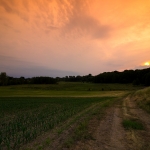 Bestetal / Canon EF-S 10-18mm f/4.5-5.6 IS STM / © Jörn Dohrendorf 2018