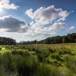 Bestetal / Canon EF-S 10-18mm f/4.5-5.6 IS STM / © Jörn Dohrendorf 2018