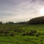 Bestetal / Canon EF-S 18-135mm f/3.5-5.6 IS USM / © Jörn Dohrendorf 2018