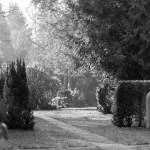 Friedhof / Canon EF 50mm f/1.8 STM / © Jörn Dohrendorf 2019