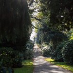 Friedhof / Canon EF-S 18-135mm f/3.5-5.6 IS USM / © Jörn Dohrendorf 2019