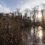 Kurpark / Canon EF-S 10-18mm f/4.5-5.6 IS STM / © Jörn Dohrendorf 2018