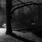 Kurpark / Canon EF-S 10-18mm f/4.5-5.6 IS STM / © Jörn Dohrendorf 2019