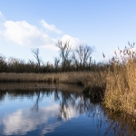 Trave / Canon EF-S 18-135mm f/3.5-5.6 IS USM / © Jörn Dohrendorf 2019