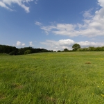 Wiese im Bestetal / Canon EF-S 10-18mm f/4.5-5.6 IS STM / © Jörn Dohrendorf 2018