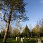 Evangelischer Friedhof / Canon EF-S 10-18mm f/4.5-5.6 IS STM / © Jörn Dohrendorf 2017