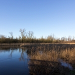 An der Trave / Canon EF-S 10-18mm f/4.5-5.6 IS STM / © Jörn Dohrendorf 2017