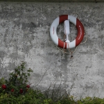 Rettungsring mit Rose / Canon EF-S 18-135mm f/3.5-5.6 IS	 / © Jörn Dohrendorf 2014