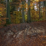 Grabau / Canon EF-S 18-135mm f/3.5-5.6 IS USM / © Jörn Dohrendorf 2018