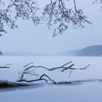 Großer Segeberger See / Canon EF-S 24mm f/2.8 STM / © Jörn Dohrendorf 2018