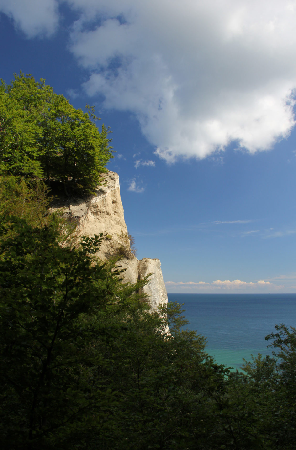 Kreideküste Møn / © Jörn Dohrendorf 2014