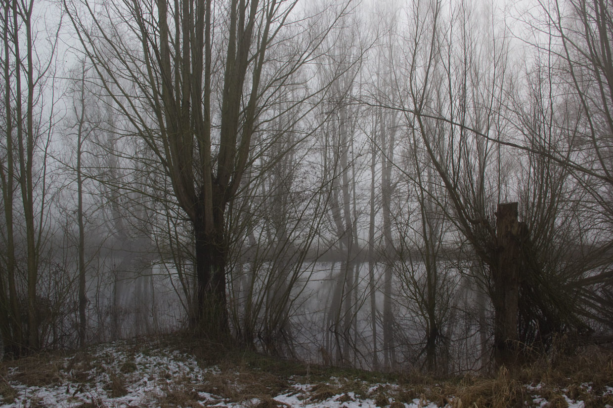Winter im Bestetal / © Jörn Dohrendorf 2018