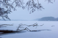 Großer Segeberger See / © Jörn Dohrendorf 2018