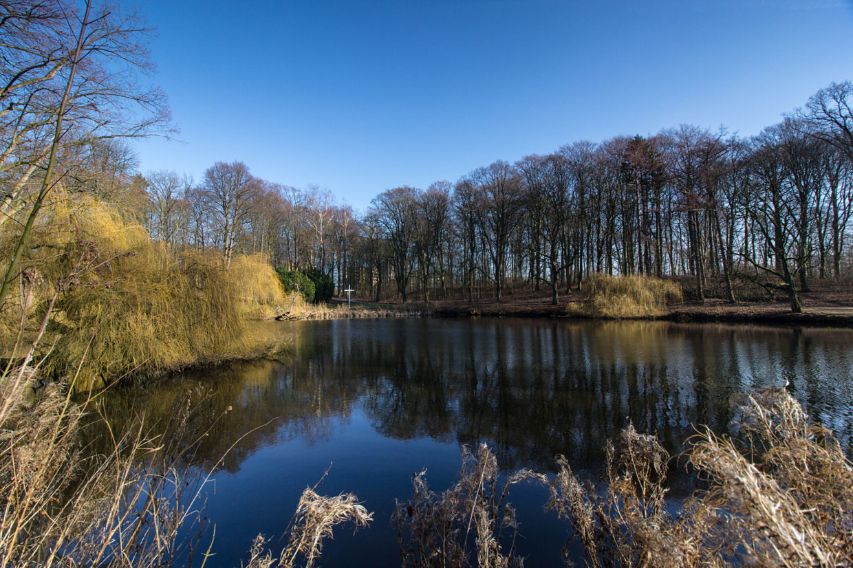 Salzteich / © Jörn Dohrendorf 2019