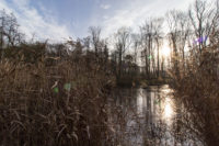 Kurpark / © Jörn Dohrendorf 2018