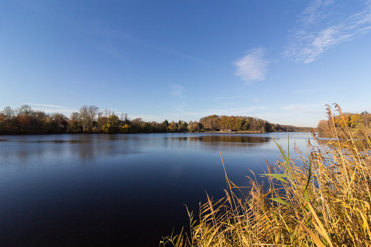 Herrenteich in Reinfeld / © Jörn Dohrendorf 2018